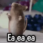 1774863596993.webp