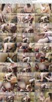 710118434_hucows-26-03-28-denise-and-sam-lee-farmer-training-xxx-1080p-mp4-fetish_s.jpg 710118434_hucows-26-03-28-denise-and-sam-lee-farmer-training-xxx-1080p-mp4-fetish_s.jpg