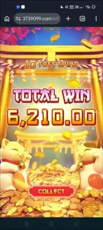 screenshot_19591.webp