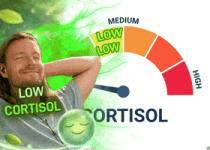 Relax Stress GIF
