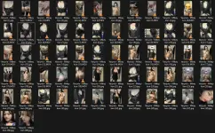 Untitled.webp