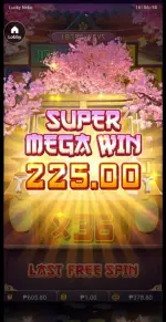 1775224498787.webp