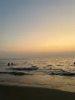 SnapInsta.to_658953892_18093197444224329_742935302090830005_n.webp