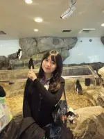 +81 🎏 (6).webp