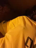 37☆BxH.webp