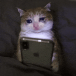 200.gif