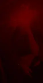 P1NAY P1E (56).webp