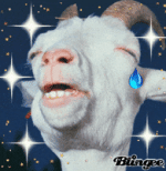 Goats GIF Goats GIF