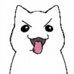 Cat Kitty GIF