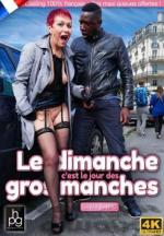 200840775_manches.jpg