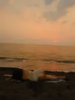 FB_IMG_1776417190117.webp