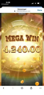 44.webp