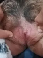 1738421437276.webp