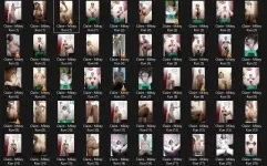 Untitled.webp