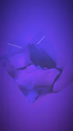 Ysabela (1).webp Ysabela (1).webp
