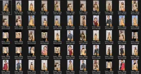 Untitled.webp