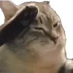 1777394557555.webp