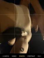 SnapInsta.to_682750580_17924108289336285_8202286850971319304_n.webp