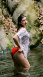 48274.webp