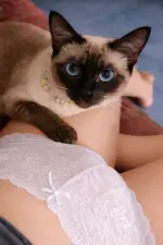 046386227426174416112928.webp