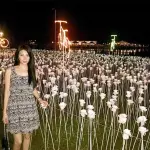 yvmariewong2026_05_06_17_06_364674dfe4-784e-4474-9103-20796f01c088.webp