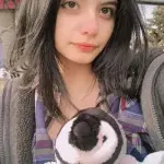 2 (10).webp