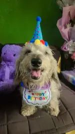 happy-4th-birthday-luigi-v0-7gerqh1i2bve1.webp