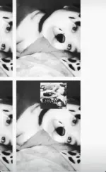 15.webp