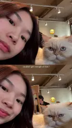 HannahOng7.webp