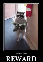 5507885c90d93.webp