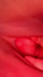 Screenshot_20260516_231500~2.webp