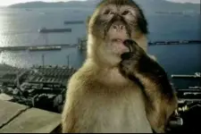 68a71a3679504.webp