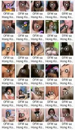 Palmetto ~ OFW sa Hong Kong.webp