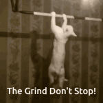 1779345871613.gif 1779345871613.gif