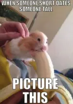 1779392889491.webp