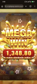1000178727.webp