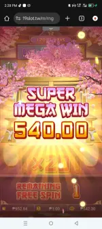 1000008221.webp