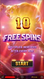 7xm buyspin.webp