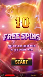 7xm buyspin.webp