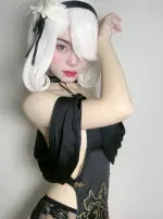 11.webp