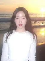 1780295744832.webp