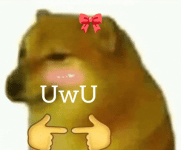 VxrwsCe8gEV9vbhJjx.gif