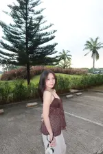 12953.webp
