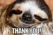 thank-you-funny-meme.webp