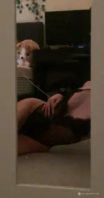 [⭐] snapwins.net 65.webp
