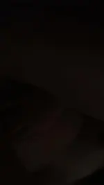 1000001325.webp
