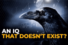 1000159693.gif