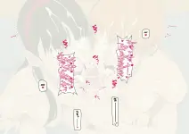 28.webp