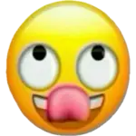 1781152896884.webp