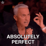 absolutely-perfect-bruno-tonioli.gif